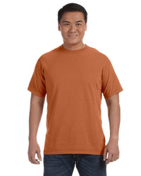 Comfort Colors Lightweight Garment-Dyed T-Shirt – CheapesTees